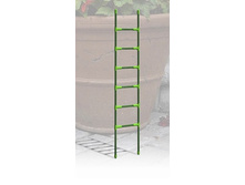 �������  ������� 75.12.6.jpg