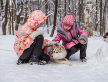 _MG_6611.jpg