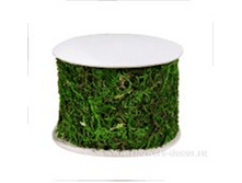 image520 - �����.png