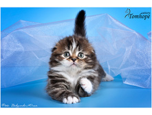 getImage ���� 4.jpeg