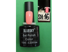 Bluesky SH 16 ���.����