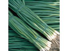 ������ ��� �� ������ ��������� (����������) (2 �).jpg