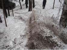 Resize of 20150104_124610.JPG