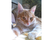 �������� 14-5.jpg