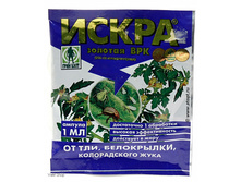 ����� �������