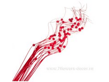 image241 - ����� - ����� - �����.png