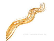 image175 - ����� - ����� - �����.png