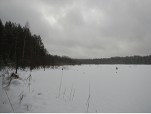 DSCN4240.JPG