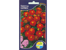 �������� ������_8,80+%