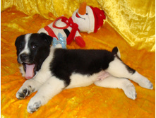 DSC05147.JPG