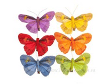 image565 - �����.png