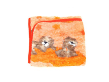 ������ �������.  120*85.  398 ���.