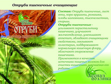 ������ ���������