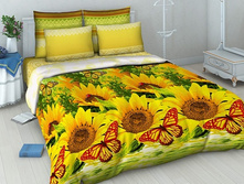 39-061 4274-1 ��� ��� ���������� ����.jpg