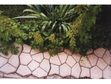 ���� �����2.jpg