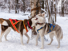 _MG_6587.jpg