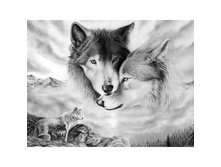 ������ ������ 38 �� 48 Ag 410 - 1097 ���..jpg