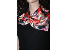 ����������� ������� STR-69