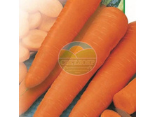 ������ ������� �� ����� �������� ����� (8 �).jpg