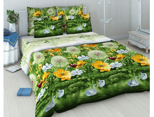 39-621 4040-1 ��� ��� ���� ���� ����.jpg