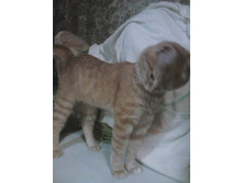 ������� 14-7.jpg