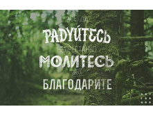 GFNInjBVmaI.jpg