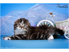 getImage ���� 3.jpeg