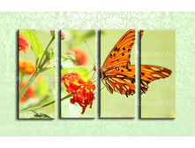 F033 - 1901 ���