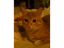 ������ 14-14.jpg