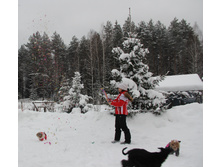 1-IMG_4224.JPG