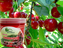 ������ ��������