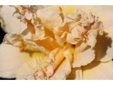 imageMJH9TK5A.jpg