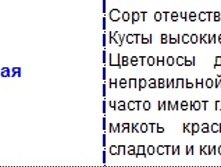 ������������ �������.jpg