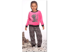 big_cat_d98134557ac745c9b6a5a16d10426bb1.png