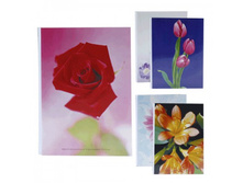 24���. ��� 320V ������� Image ART - 36 ������.jpg