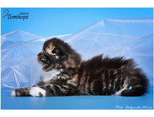 getImage ���� 1.jpeg