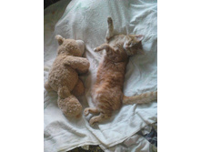 ������ 14-11.jpg