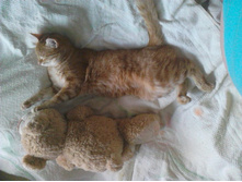 ������ 14-13.jpg