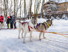 _MG_6773.jpg