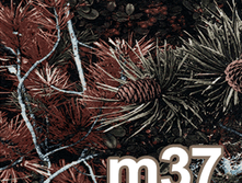 m37.png