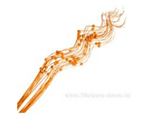 image246 - ����� - ����� - �����.png