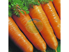 ������ ������� ����������-6 (4 �).jpg