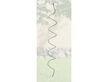 ����� ������� �������.jpg