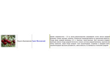 ����� ����� ����������.jpg