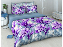 39_886 4199-2 ��� 2�� ������� ����.jpg