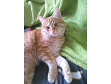 ������ 14-8.jpg