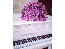 ���� �� ����� 38*48 Ag5815 - 1097 ���.