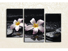 F008 - 2746 ���