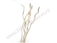 image117 - ����� - ����� - ����� - �����.png