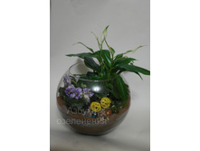 ���������� ������.jpg